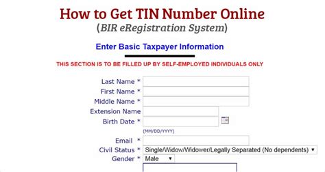 bir tin online registration login|How To Get TIN ID in 2023: Online Registration  .